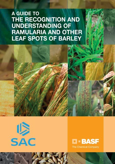 a guide to the recognition and understanding of ramularia and other ...