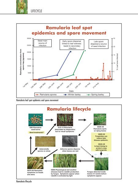 a guide to the recognition and understanding of ramularia and other ...