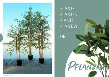 DER_KATALOG_2023-2024_06_Pflanzen-Plants