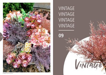 DER_KATALOG_2023-2024_09-Vintage