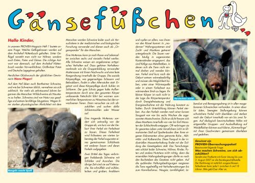 Schwein gehabt? - Provieh