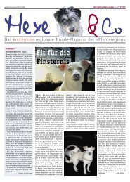 Hexe testet den Geheimtipp aus Remshalden - Hundekissen von ...