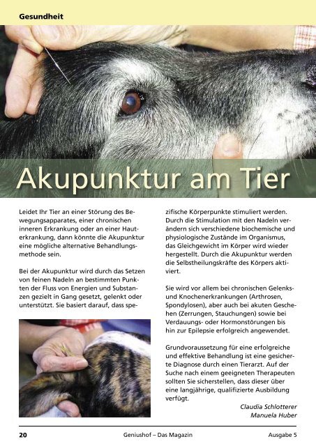 Hundeschule Vermittlung Veranstaltung - Geniushof eV ...