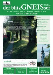 der blitzGNEISser - Unser Gneis