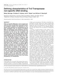 Defining characteristics of Tn5 Transposase non-specific DNA binding