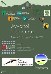 AVVOLTOI Piemonte n. 5 | Dicembre 2022