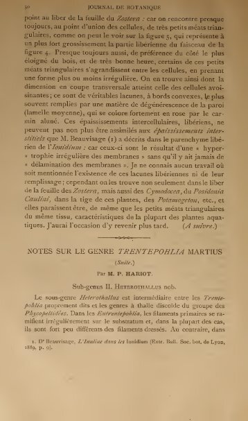 NOTES SUR LE GENRE TRENTEPOHLIA MARTIUS - Algaebase