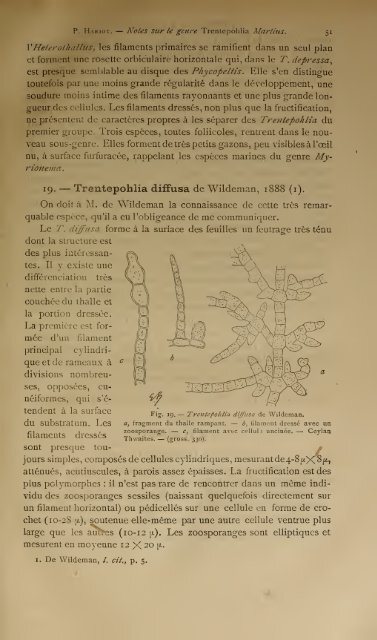 NOTES SUR LE GENRE TRENTEPOHLIA MARTIUS - Algaebase