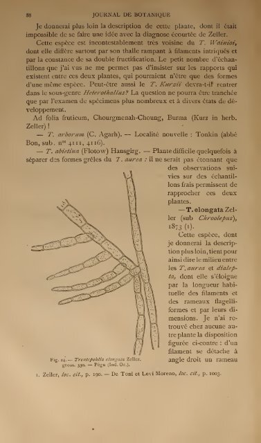 NOTES SUR LE GENRE TRENTEPOHLIA MARTIUS - Algaebase