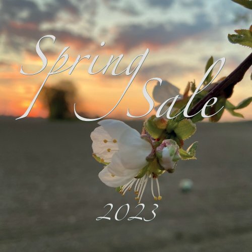 Spring SALE 2023