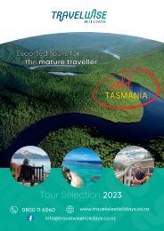 Travelwise Holidays Newsletter Jan 93 