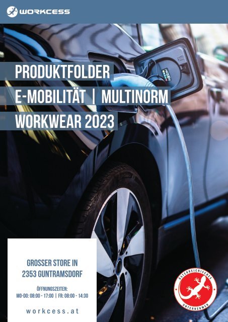 workcess Produktfolder E-Mobilität | Multinorm