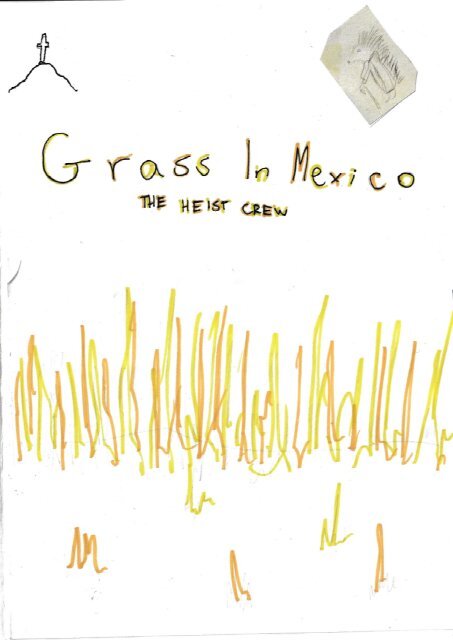 Grass in Mexico