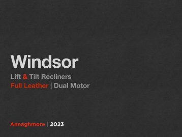 Windsor Leather Lift & Tilt Recliners