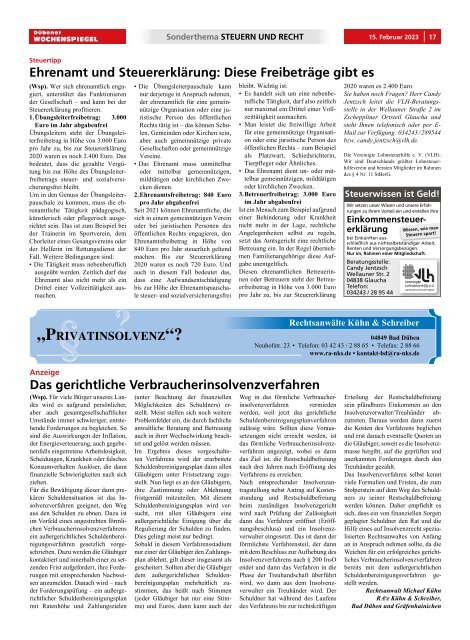 Dübener Wochenspiegel - Ausgabe 3 - Jahrgang 2023