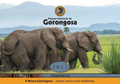 Destaques Gorongosa 2022