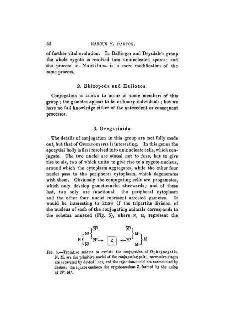 Some Problems of Reproduction: a Comparative Study of ...