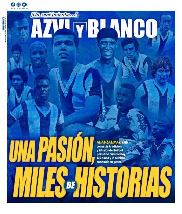 AZUL Y BLANCO N15