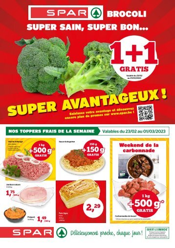 SPAR Semaine 8-9