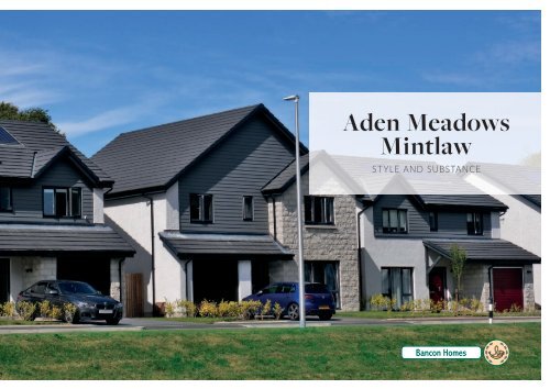 Aden Meadows Phase 4