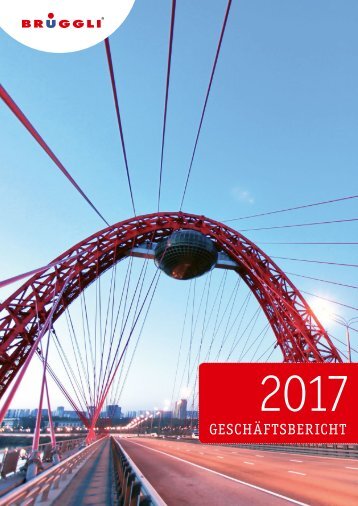Geschäftsbericht 2017