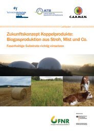 Praxisleitfaden Biogas alternative Einsatzstoffe (Stand: Dez 2022)