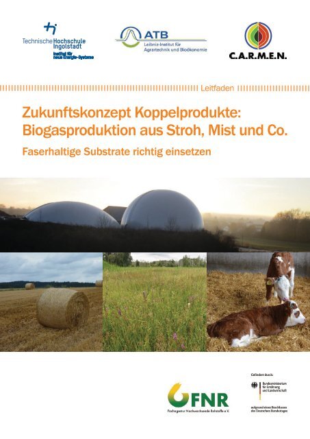 Praxisleitfaden Biogas alternative Einsatzstoffe (Stand: Dez 2022)