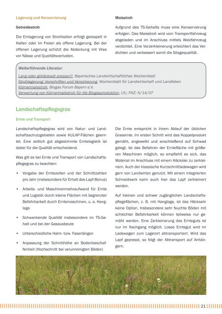 Praxisleitfaden Biogas alternative Einsatzstoffe (Stand: Dez 2022)