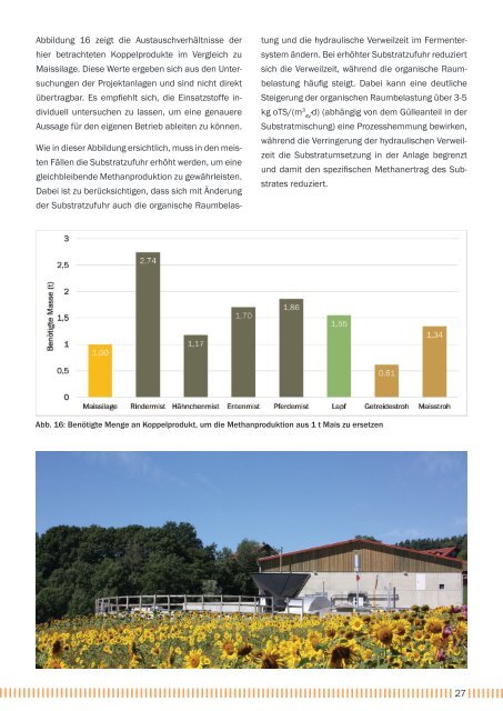 Praxisleitfaden Biogas alternative Einsatzstoffe (Stand: Dez 2022)