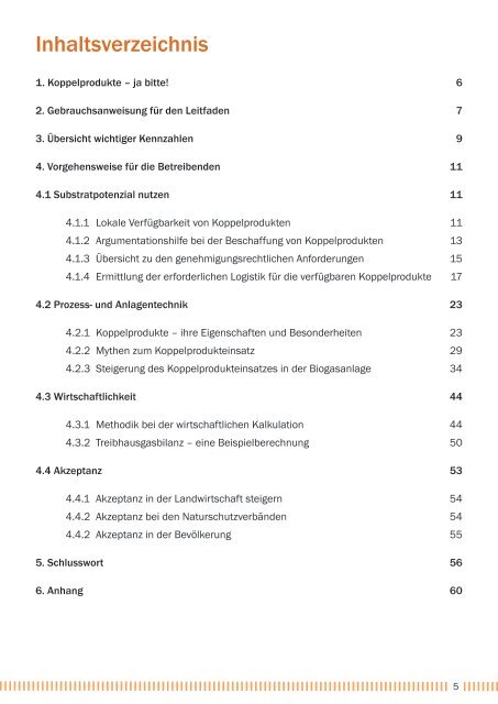 Praxisleitfaden Biogas alternative Einsatzstoffe (Stand: Dez 2022)