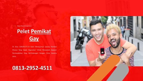 0813-2952-4511 Jasa Pelet Sesama Jenis 1 Hari Kena Lewat Nama Terbukti Ampuh