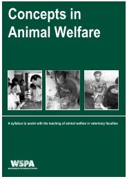 Concepts in Animal Welfare - Wspa