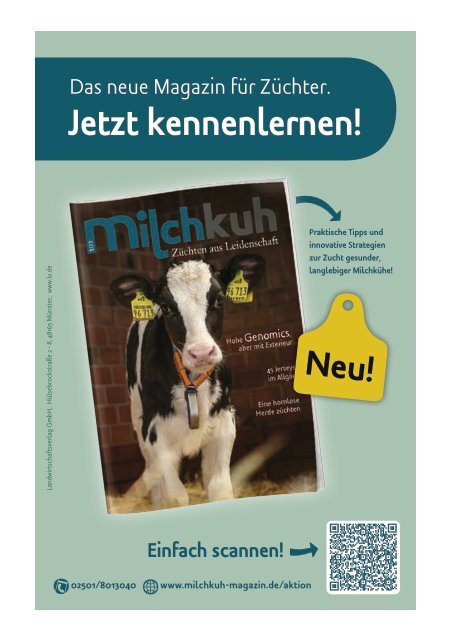 Schaukatalog zur 41. Excellent-Schau