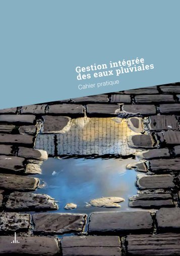 Cahier pratique - gestion intégrée des eaux pluviales