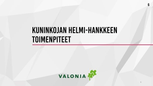 Kuninkojan Helmi -hankkeen koosteraportti