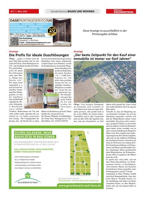 Dübener Wochenspiegel - Ausgabe 4 - Jahrgang 2023