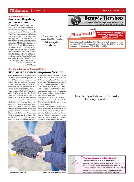 Dübener Wochenspiegel - Ausgabe 4 - Jahrgang 2023