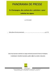 Panorama de presse Spécial En champagne des petits cochons de précision pour toiletter les vignes  le 27 02 23