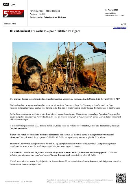 Panorama de presse Spécial En champagne des petits cochons de précision pour toiletter les vignes  le 27 02 23