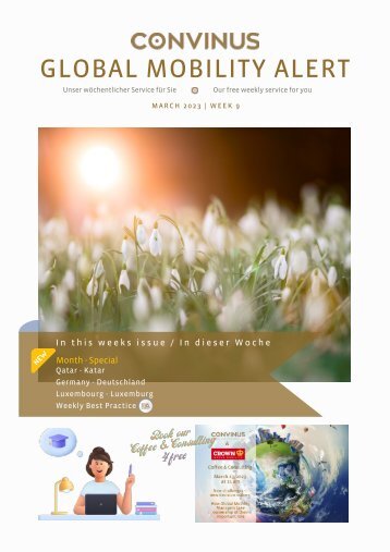 CONVINUS Global Mobility Alert - Week 9.2023