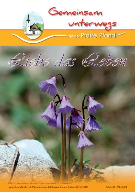 Pfandler Pfarrblatt Ausgabe Nr. 205