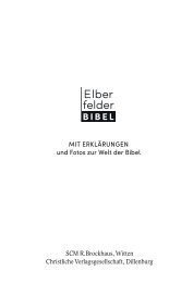 elberfelder-bibel-mit-erklaerungen-leseprobe