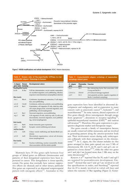 World Journal of Clinical Oncology