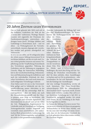ZgV Report 2020