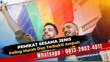 0813-2952-4511 Pemikat Sesama Jenis lewat Foto 7 Hari Langsung Kena