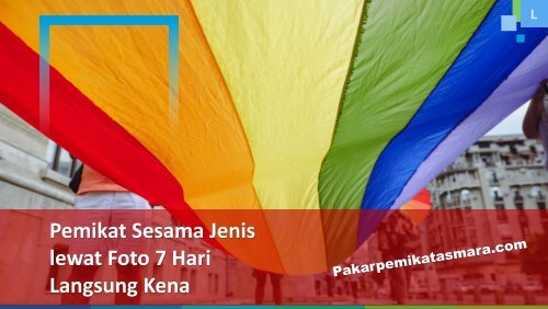 0813-2952-4511 Pemikat Sesama Jenis lewat Foto 7 Hari Langsung Kena