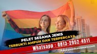 0813-2952-4511 Pelet Sesama Jenis 7 hari Langsung Kena Tanpa Puasa