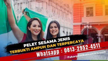 0813-2952-4511 Pelet Sesama Jenis Dari Jarak Jauh Yang Terbukti Ampuh