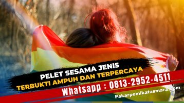 0813-2952-4511 Pelet Sesama Jenis lewat Foto 7 Hari Langsung Kena