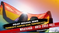 0813-2952-4511 Pelet Sesama Jenis Lewat Makanan Atau Minuman